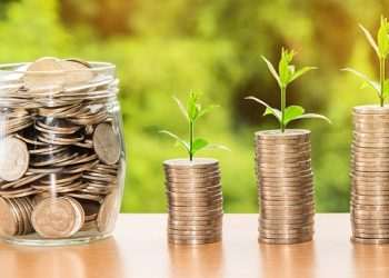 Yield Farming vs. Staking: Which is More Profitable?